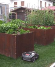 IdealFlora di Davide Gagliardini Bild 11