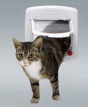 Fensterte.ch AG Bild 3