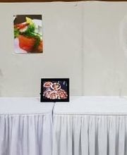 Maison Magnoni Frères SARL image 12