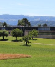 Museum für Musikautomaten Bild 13