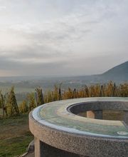 Frey Sohler image 14