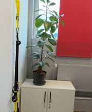 BWT - Berufliche Weiterbildung & Training Bild 3