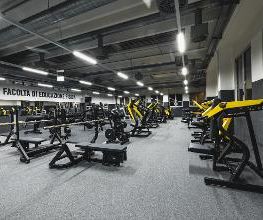 FITINN immagine 7