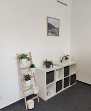 Regal mit mehreren Pflanzen, daneben eine Deko-Leiter mit weiteren Pflanzen. Darüber ein Bild.