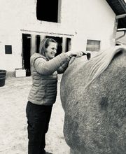 Nicola Annaberger, Pferdeosteopathie Oberland, Pferdephysiotherapie Oberbayern, Pferdeosteopathie Oberbayern, Osteo Pferd Bild 12