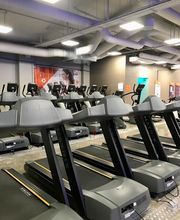 Gimnasio VivaGym Londres imagen 4