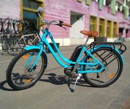 Stahlross Velo AG Bild 9