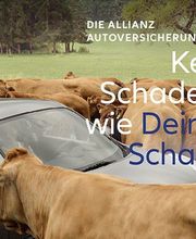 Allianz Agentur Andreas Eißner Bild 5