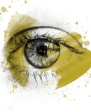 Wette und Schnell Bild 2