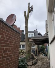 Thies Dölger Gartenbau Bild 5