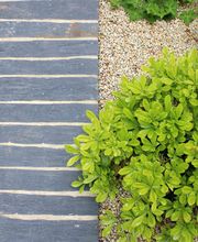 Emeraude Jardins image 9