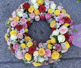 Blumen Schultz Bild 8