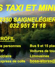 Boss taxi et mini-bus Sàrl Bild 1