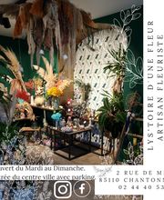 Lys'toire d'une fleur image 6