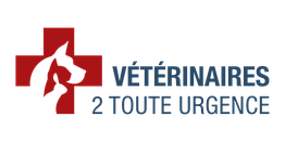 Veterinaires 2 Toute Urgence