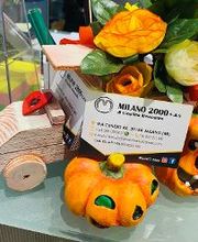 Euromaster Milano 2000 immagine 3