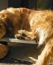 Estorges Isabelle image 5