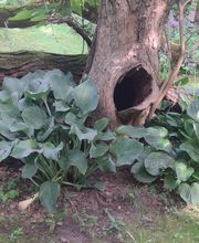 Paradise Park image 16