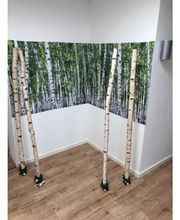 Hörakustik Kindervater Inh. Jean Pierre Kindervater Bild 3