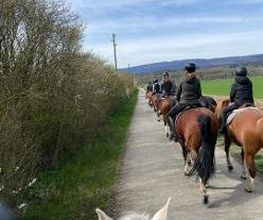 Reitstall Bühl Bild 12