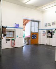 Tierarztpraxis Thurmading Bild 2