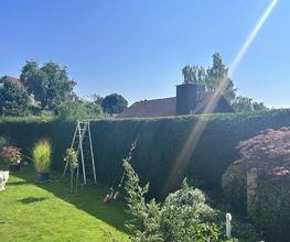 Gartenservice Mark Miess Bild 8